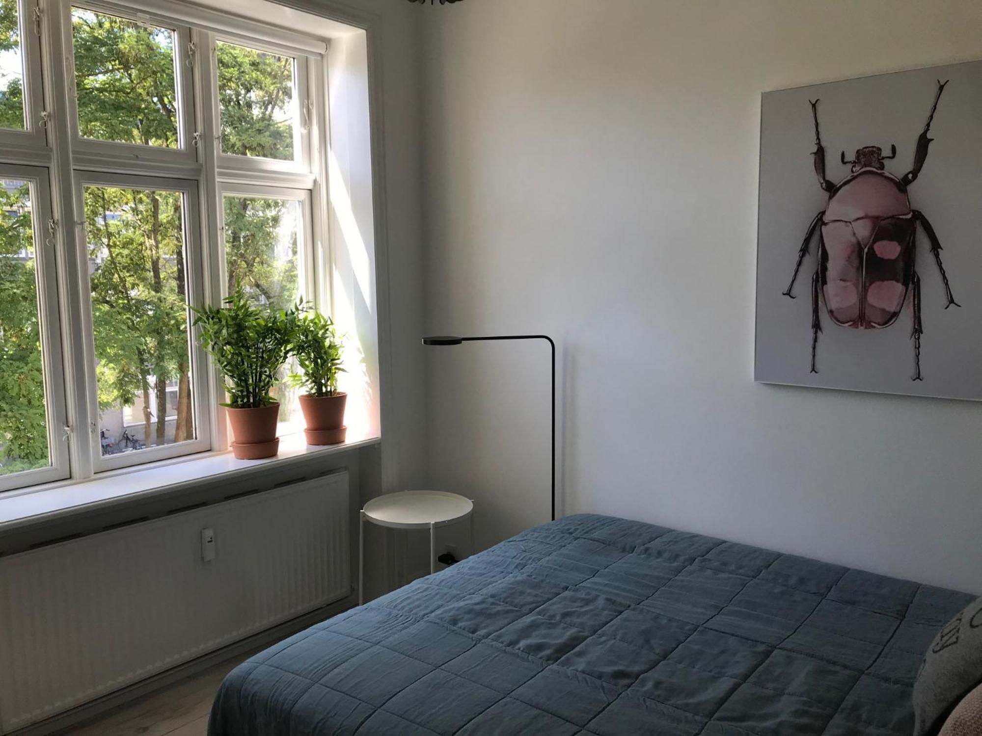 Apartment 1-bed In Osterbro Copenhagen